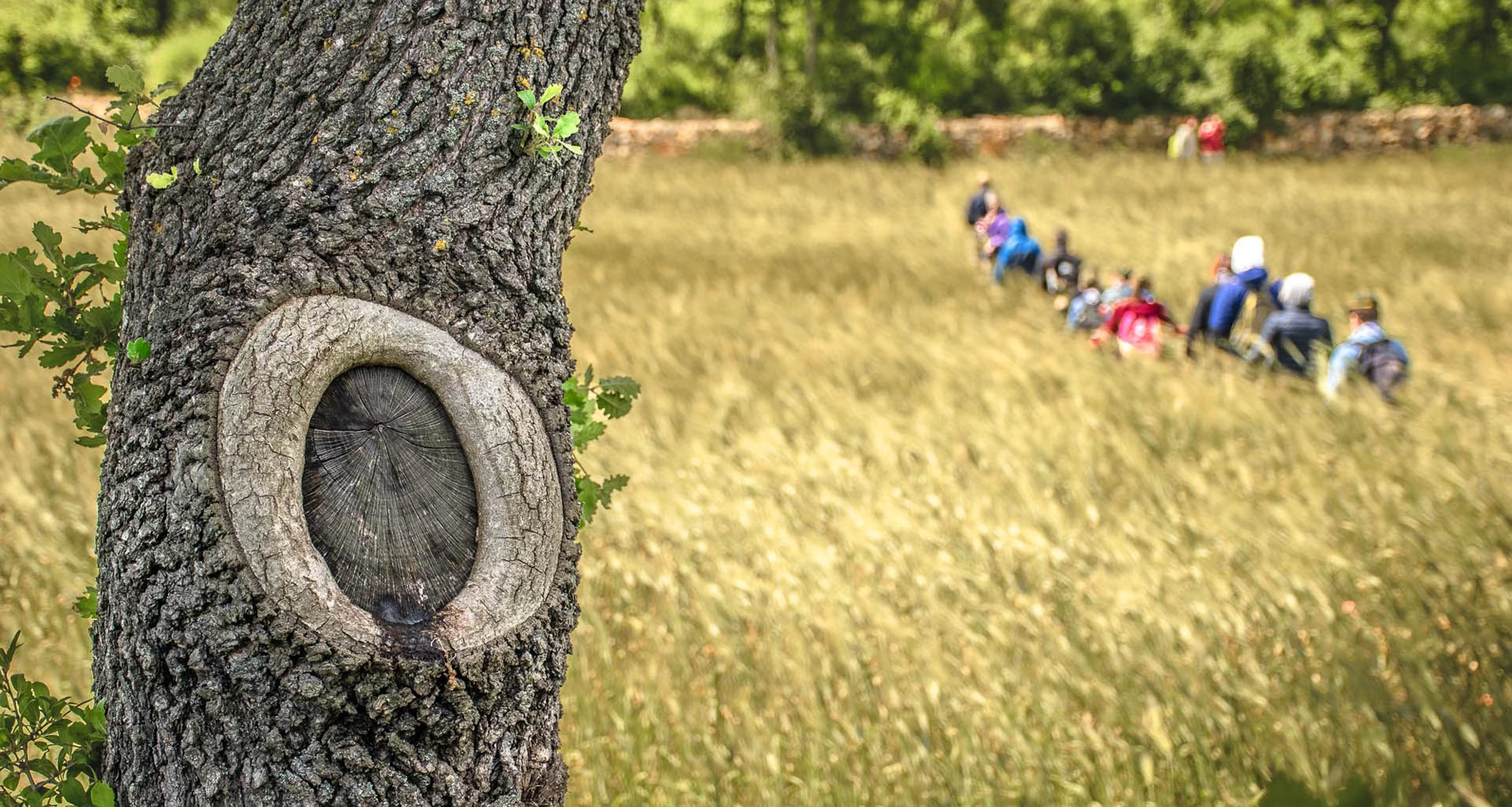 499533063_10231963062154448_2904436270723047273_n